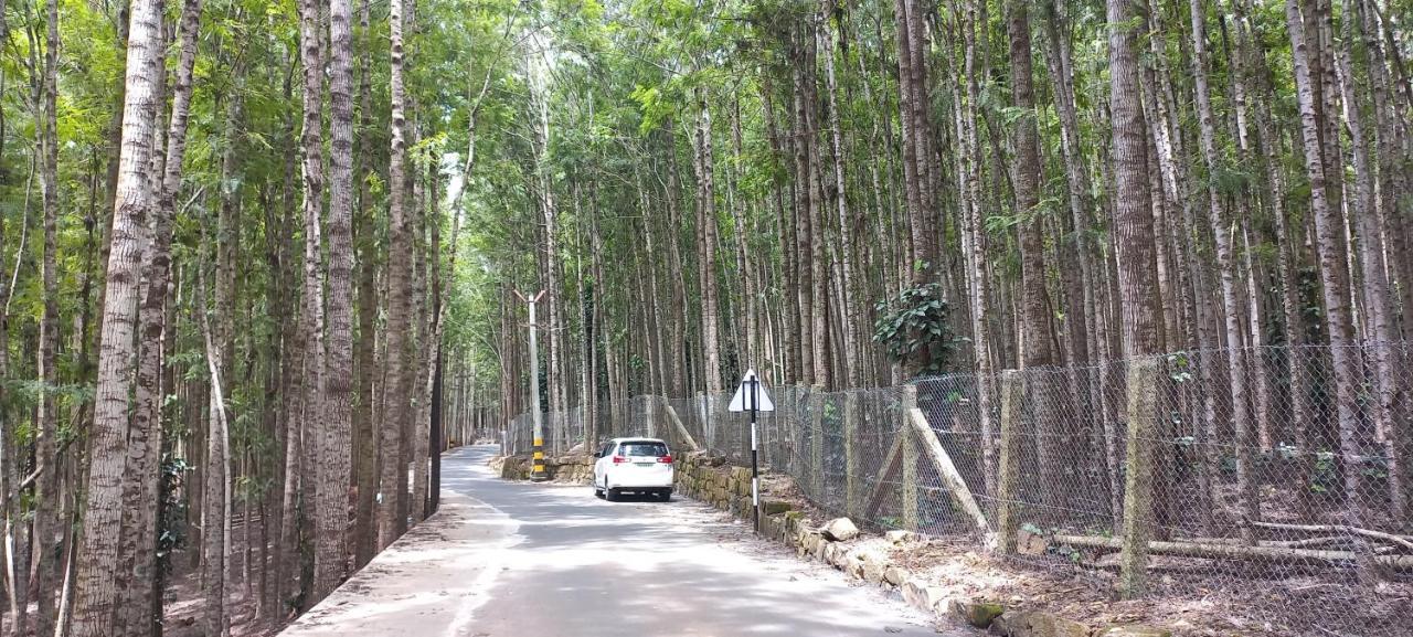 Istays - Loop Road, Yercaud Exterior photo